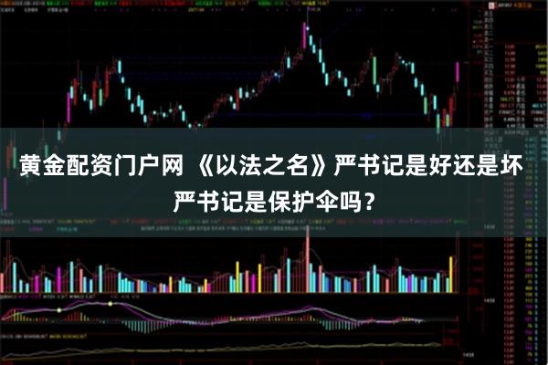 黄金配资门户网 《以法之名》严书记是好还是坏 严书记是保护伞吗？