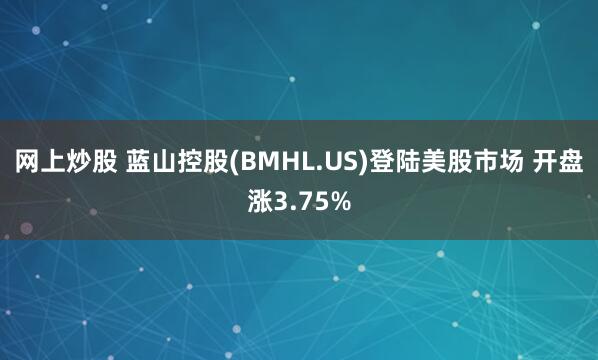 网上炒股 蓝山控股(BMHL.US)登陆美股市场 开盘涨3.75%